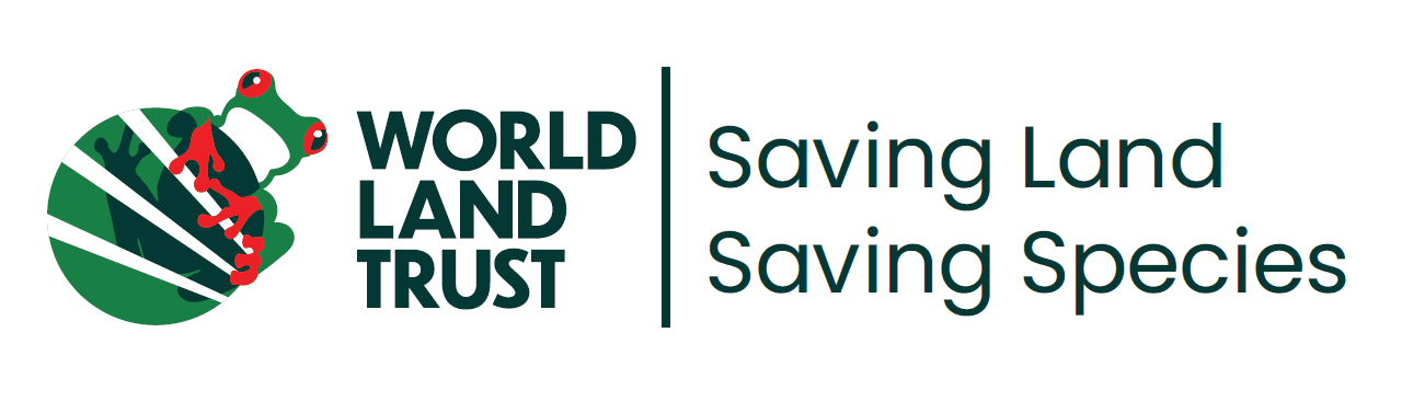 WLT Logo