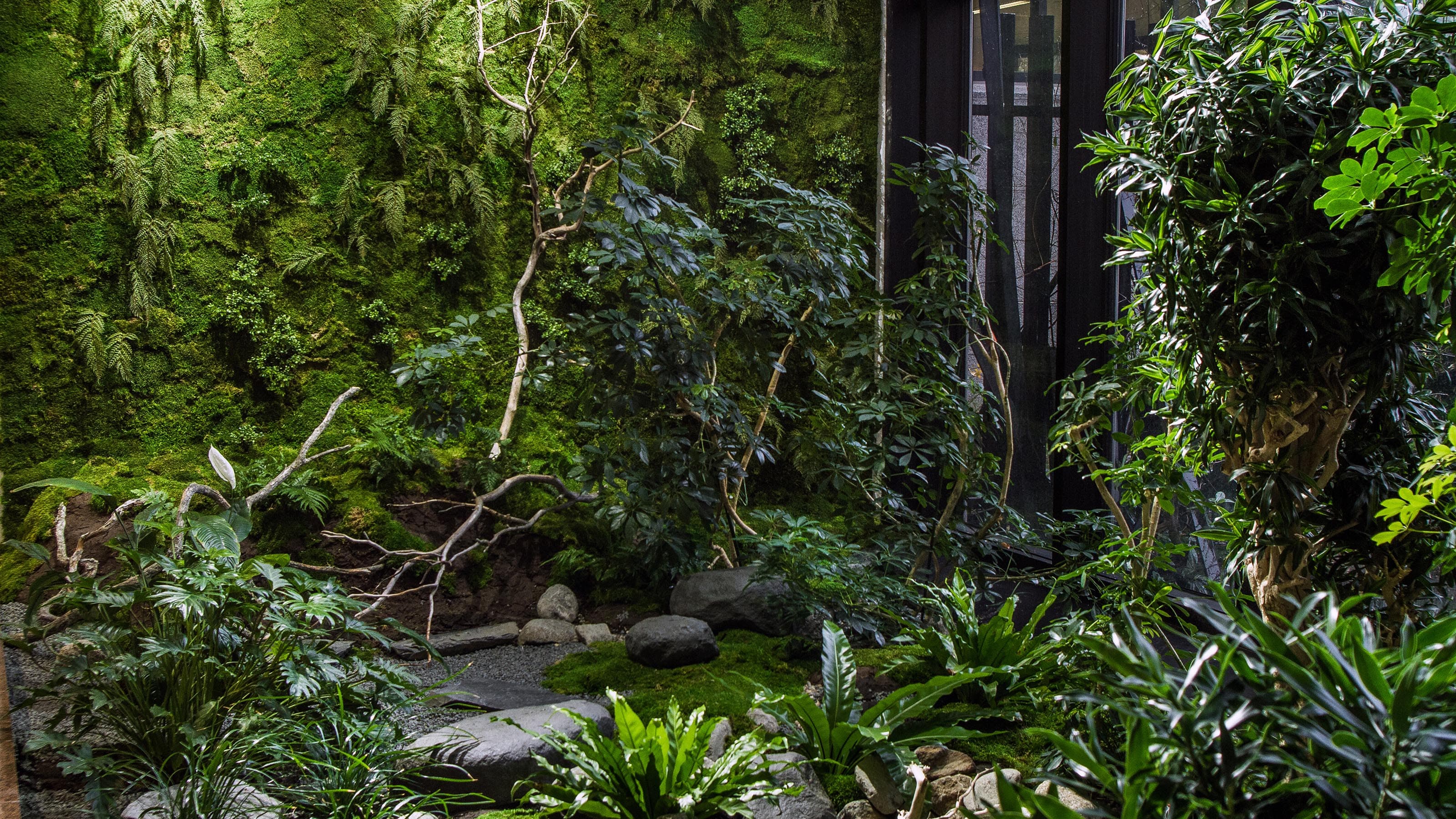 Header Image